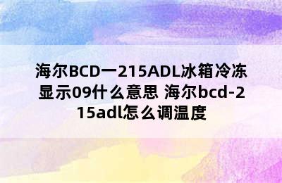 海尔BCD一215ADL冰箱冷冻显示09什么意思 海尔bcd-215adl怎么调温度